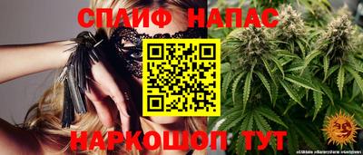 сатива Коммунар