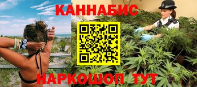 сатива Коммунар
