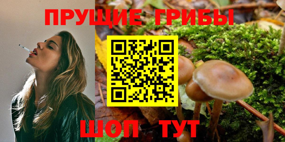 Псилоцибиновые грибы прущие грибы Кстово