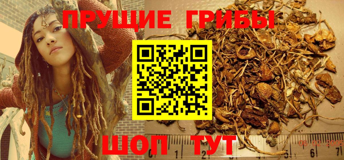 Кстово  Галлюциногенные грибы мухоморы  Вход с VPN 